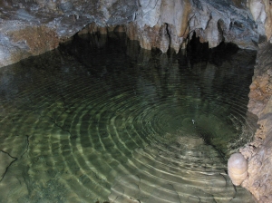 Inside Timpanogos Cave. Image from trails360.com
